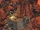Jawa scavengers-AA.jpg