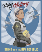 "Flying to Victory" posteri, Barnes & Noble Özel Baskısı eki