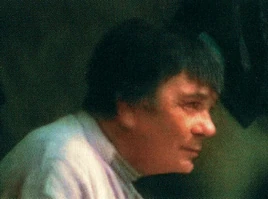 Ariqjoanson