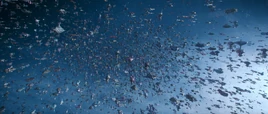 GalaxyFleet