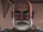 Rex