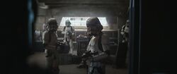 Remnant-Stormtroopers