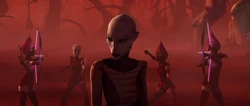 Asajj Ventress yurduna dönüyor.