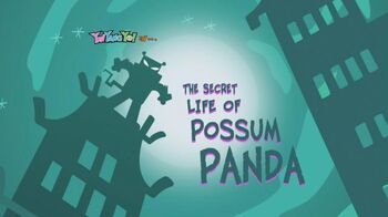 225a - The Secret Life of Possum Panda