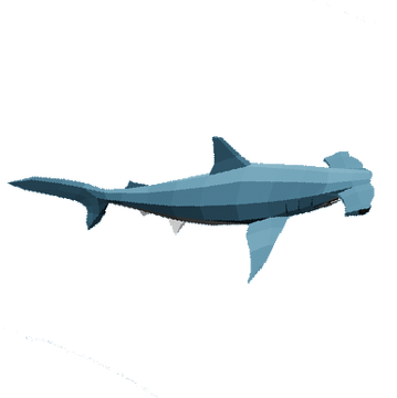 邦楽 Hammer Head Shark BYE MY NAKED 邦楽 Hammer Head Shark - BYE MY NAKED Hammer Head Shark
