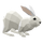 Polar Rabbit