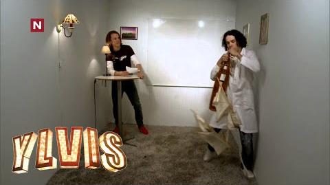 Ylvis - Dagens spørsmål 1