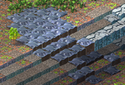 MbrFetn.png