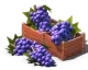 ResourceGrapes