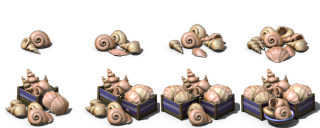 Shells.png