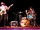 Sunbears