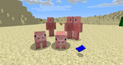 Pigmen