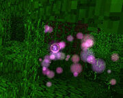 Wisp2.jpg