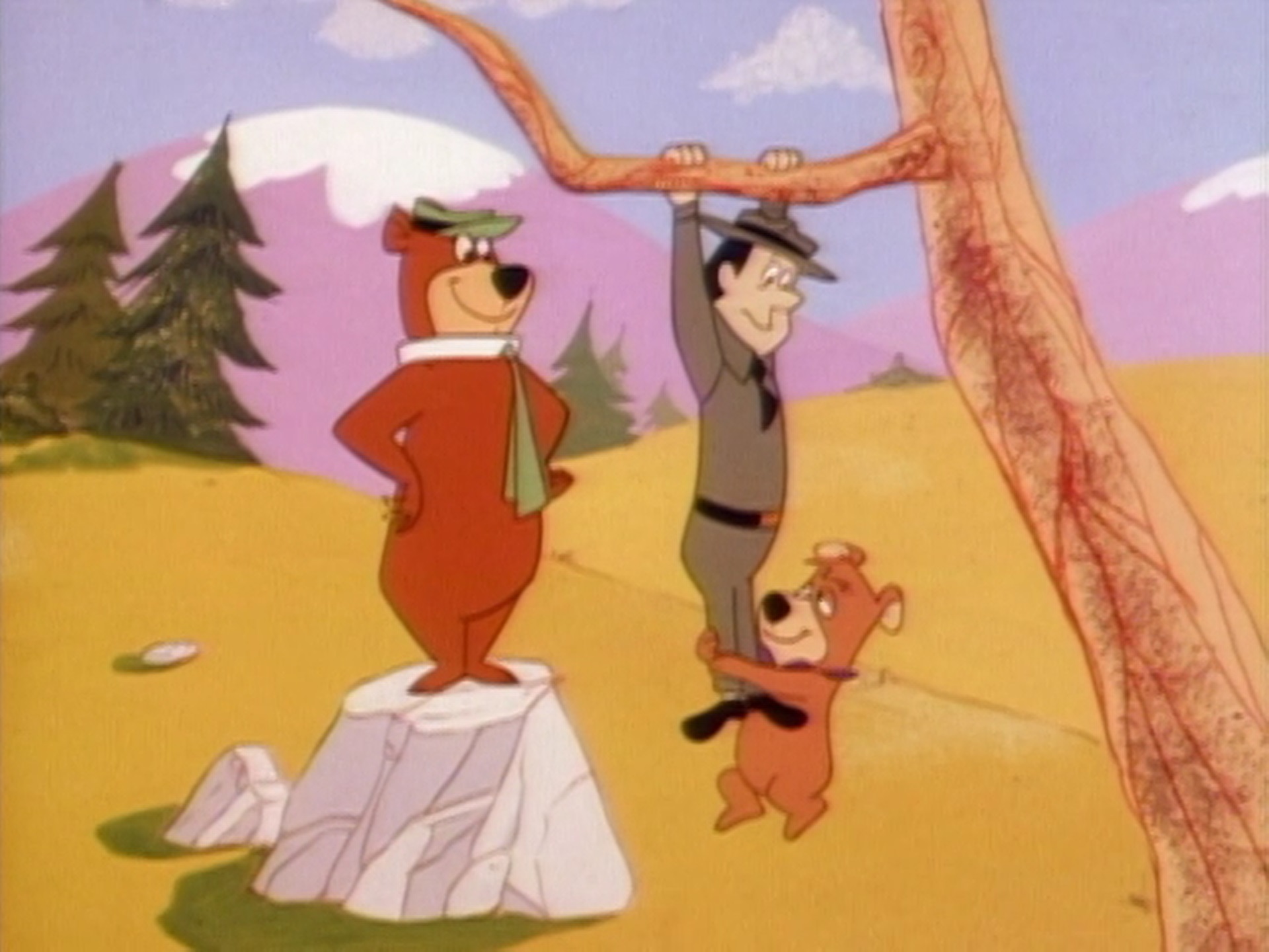 The new yogi bear show top