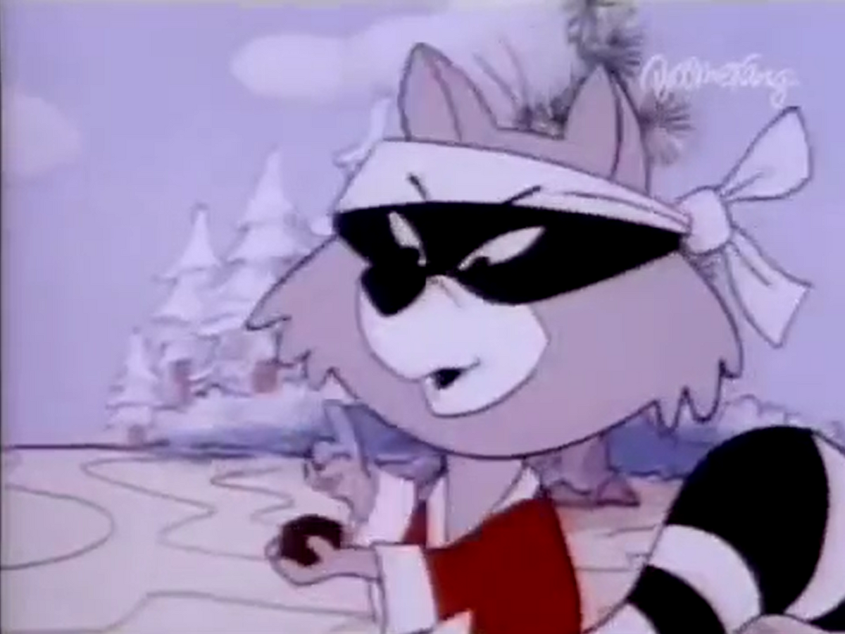 Ninja Raccoon | Yogi Bear Wiki | Fandom