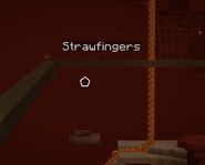 Strawfingers in the Nether.