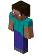 The default skin of Minecraft (known by many as Steve)