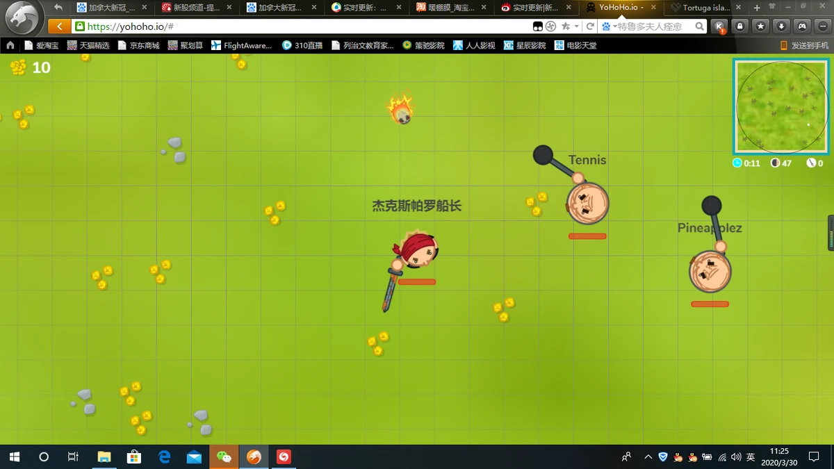 Username | YoHoHo.io - pirate battle royale Wiki | Fandom