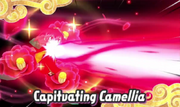 Capitvating Camellia