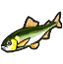 Ayu
