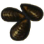 Moules