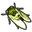 Yw1 green cicada