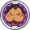 Cttceeicon