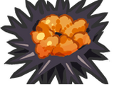 Fresh Urchin