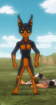 Young dober.png