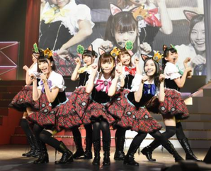 The real life Next HarMEOWny formation