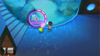 Dolphin Tank