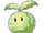Cabbage