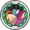 Eneicon