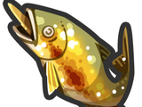 Grilled Sweetfish