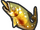 Grilled Sweetfish