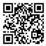 ∞ Steely Fox Stone QR code