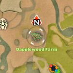 Dapplewood Farm Location