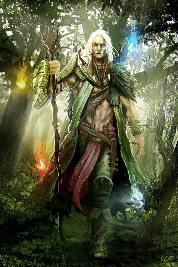 Druid DnD Info Wikia Fandom