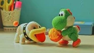 Yoshi Playing catch with Poochy