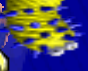 Seacactus.png