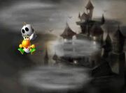 White Shy Guy Saving 