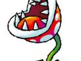 Piranha Plant