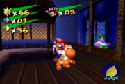 An Orange Yoshi after eating certain fruit in Super Mario Sunshine.