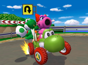 BirdoKart.png
