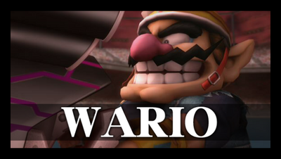 Wario's snapshot.
