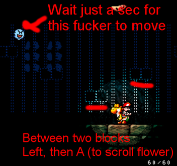 2-4 flower setup.png