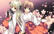 A wallpaper of Sora and Akira Amatsume found in Haruka na Sora.