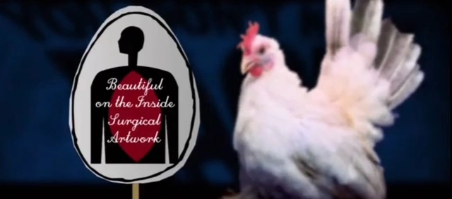 Beautiful on the Inside Surgical Artwork | You Don't Know Jack 2011 ...