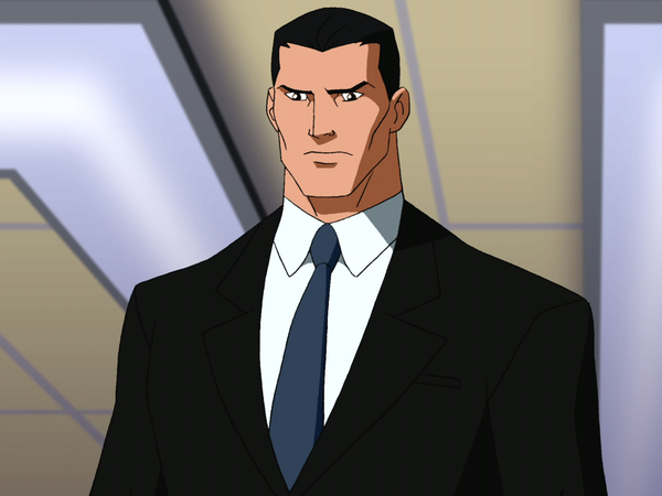 bruce wayne young justice