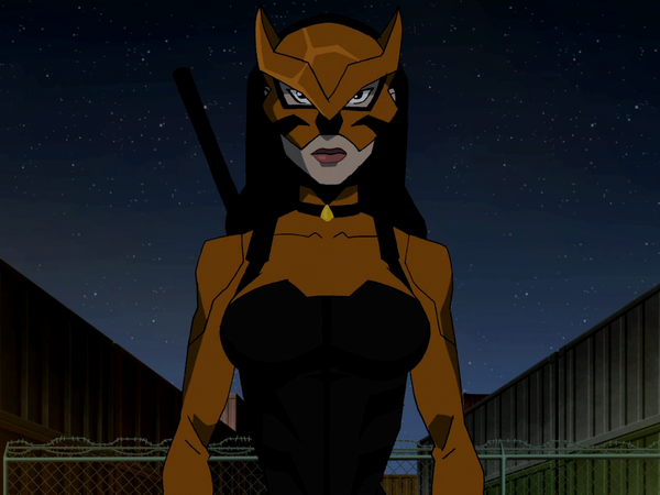 young justice huntress